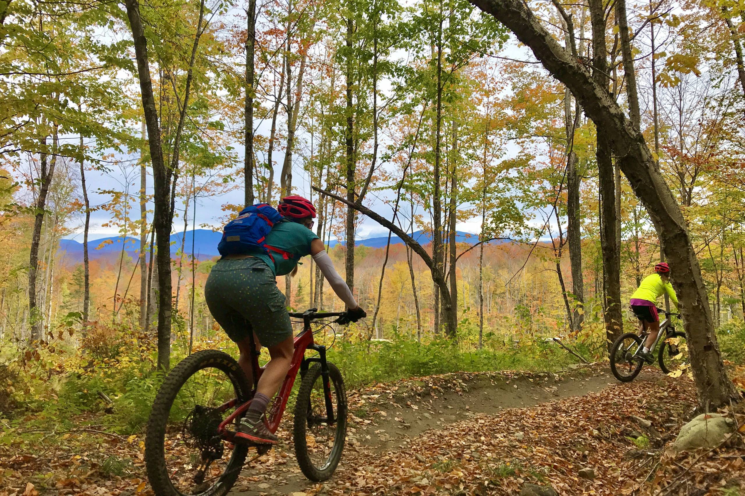 Mountain biking through forest