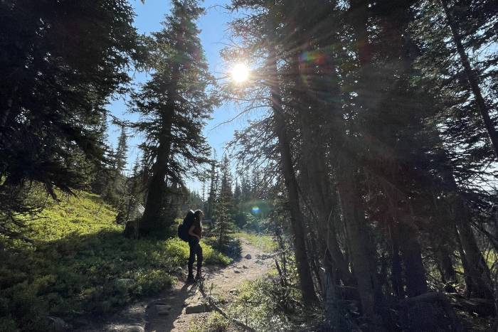 a female hiker wearing a backpack standing on a dirt singletrack trail and gazing up at large pine trees