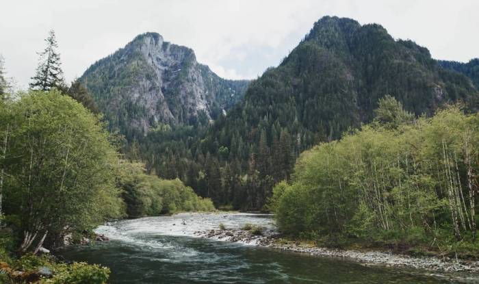a view of a shallow river lined with trees winding between two green mountains