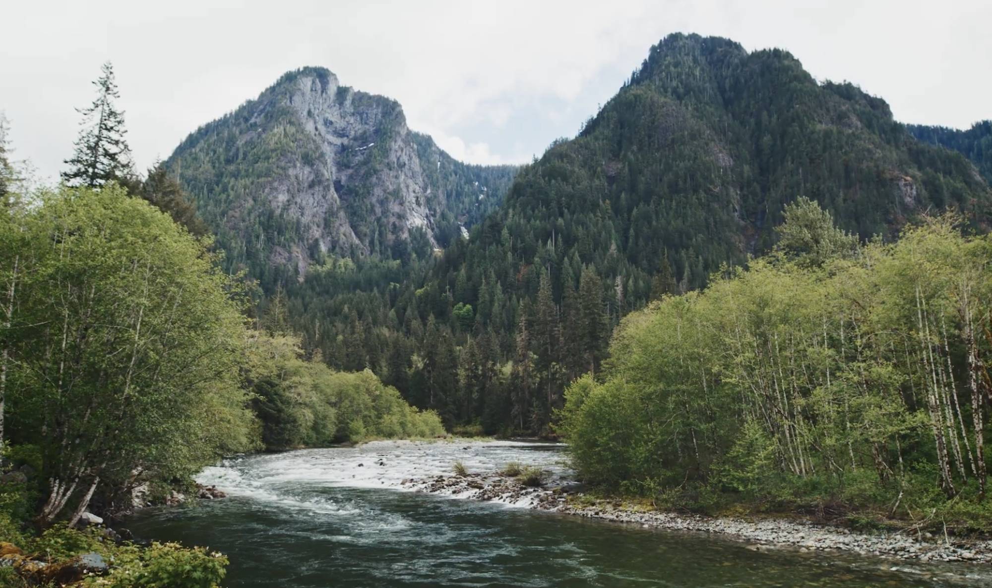 a view of a shallow river lined with trees winding between two green mountains