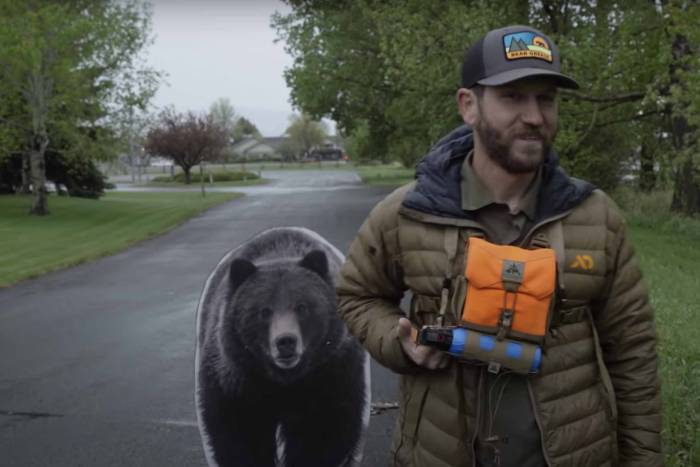 grizzly bear defense