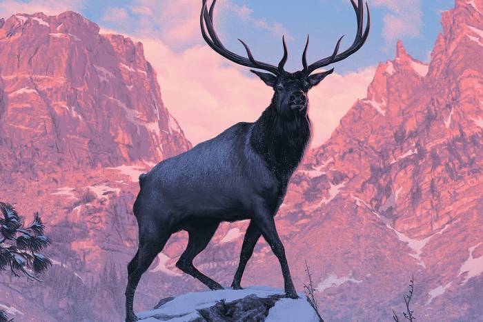 Fifty Nine Parks poster book