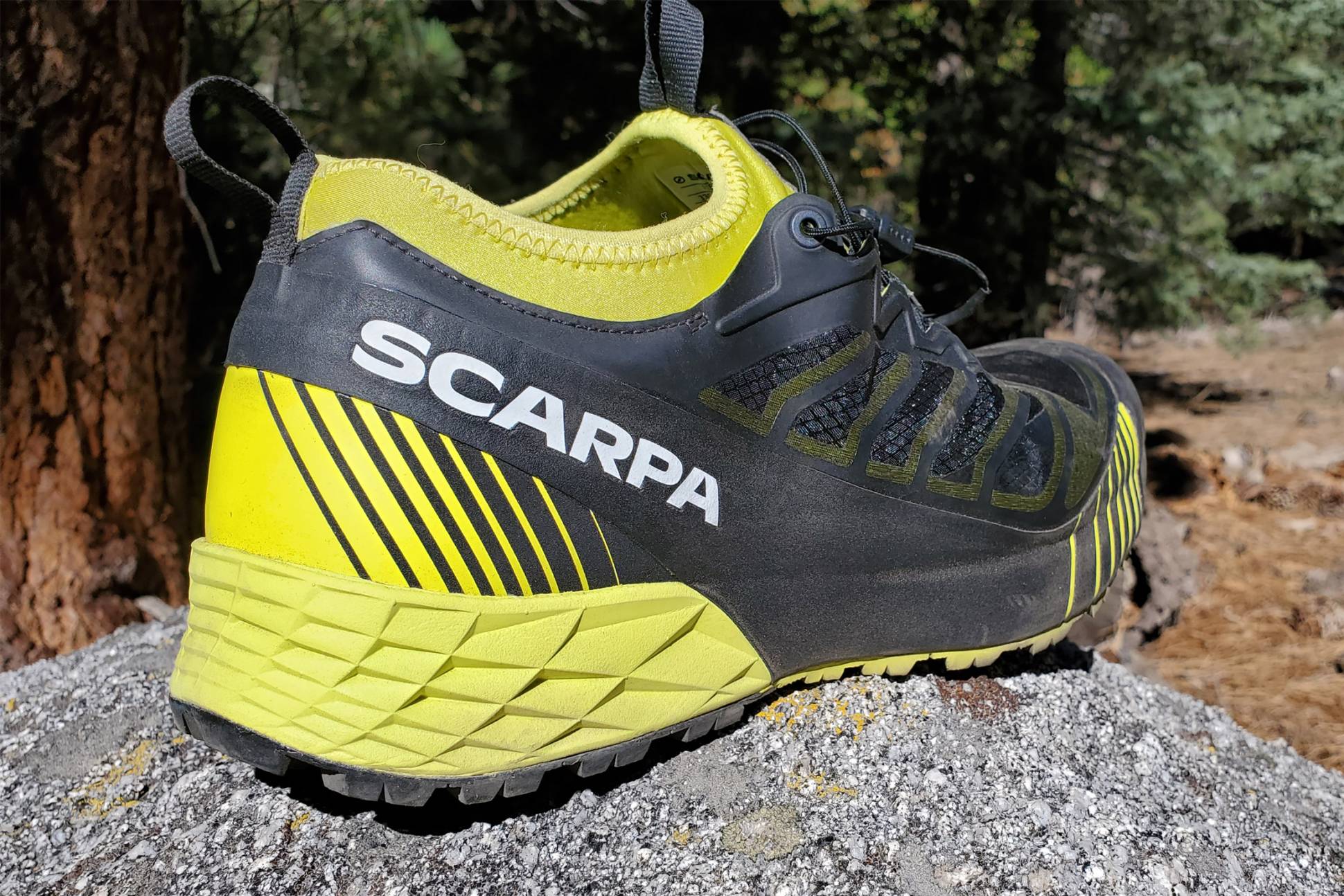 Scarpa Surprises With ‘Ribelle Run’ RecordSetting Trail Shoe Review GearJunkie