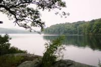 'Wild Tracks': Sonos Releases National Parks-Inspired Playlists 'Wild Tracks': Sonos Releases National Parks-Inspired Playlists