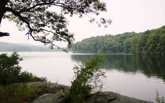 ‘Wild Tracks’: Sonos Releases National Parks-Inspired Playlists