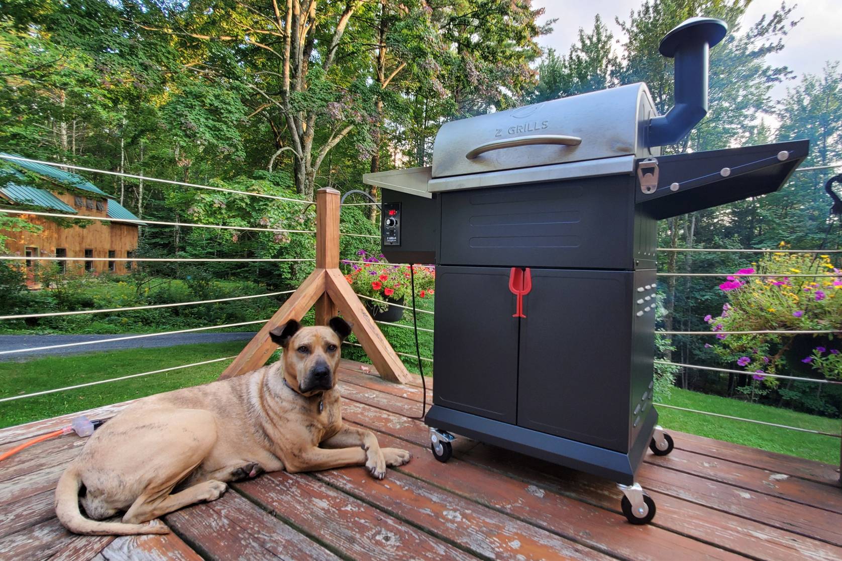 Z Grills Flame Elite Review Affordable Pellet Grill That Smokes and