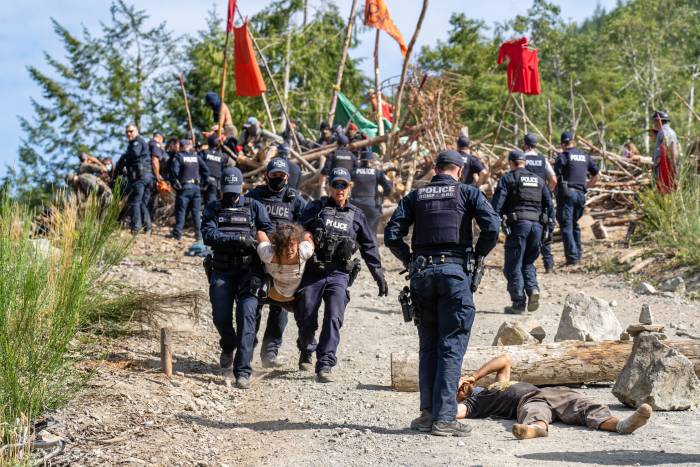 Old-Growth Logging Protest Becomes Canada’s Largest Act of Civil Disobedience