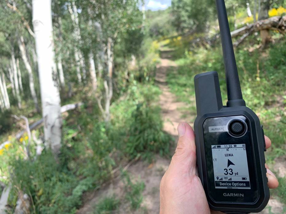 Lojack Your Dog: Garmin Alpha 10 GPS Dog Collar First Look Garmin Alpha 10 gps dog tracker