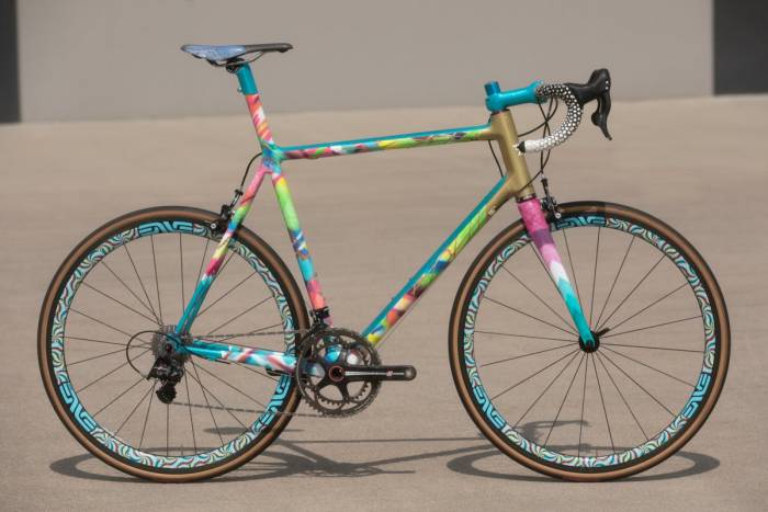 manual for speed bikes