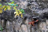 Joe Kinder Sends Rifle’s First 5.15, 'Kinder Cakes,' Marking a Comeback joe kinder