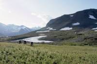 'Send the Search': A Mysterious, Chossy, Steep, and 'Relentless' Epic Adventure three FOX MTB riders going uphill in grassy trail in front of Canadian mountain range
