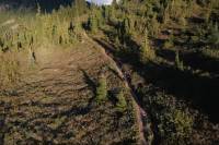 mountain biker riding down a trail
