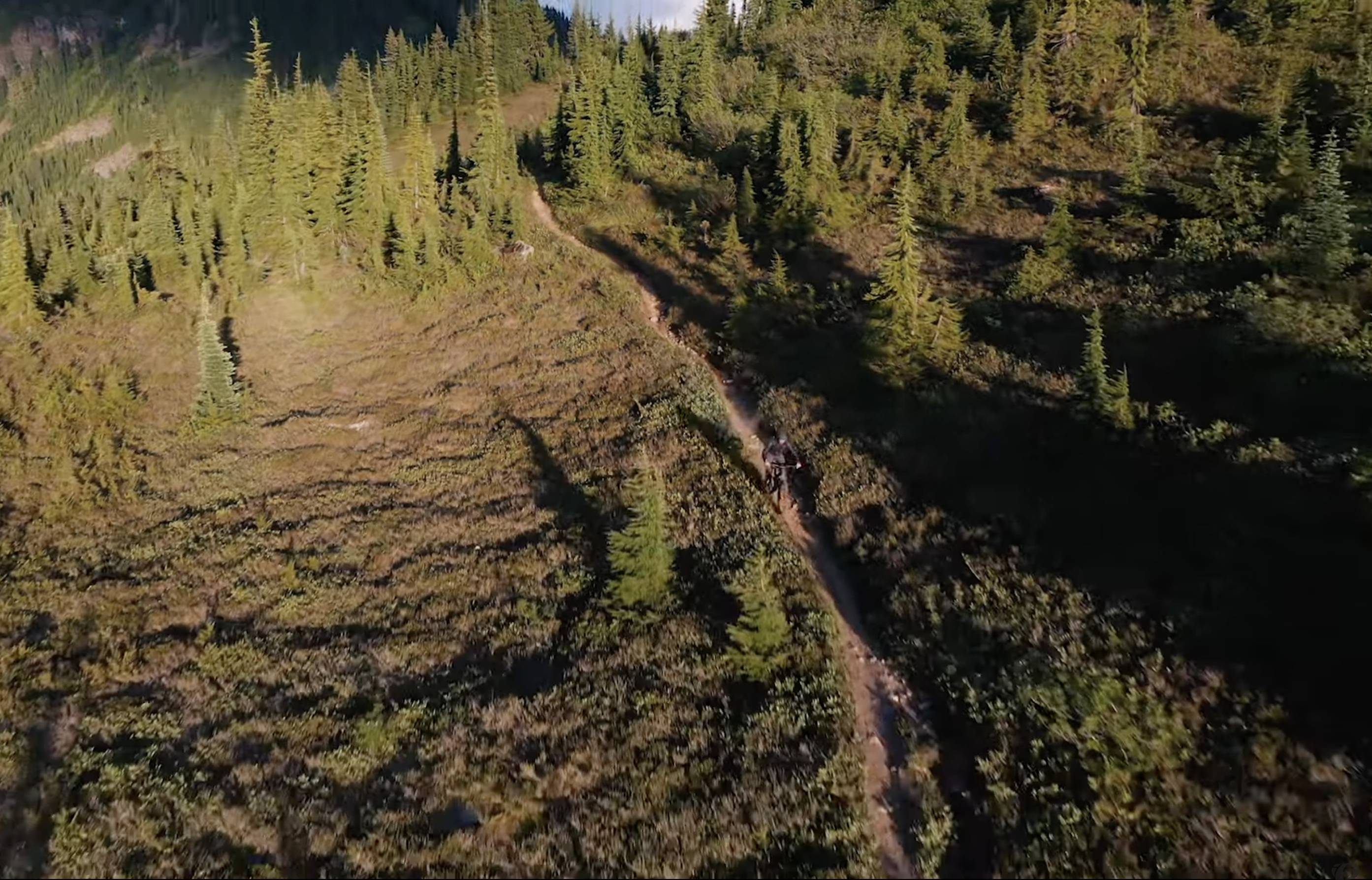 mountain biker riding down a trail