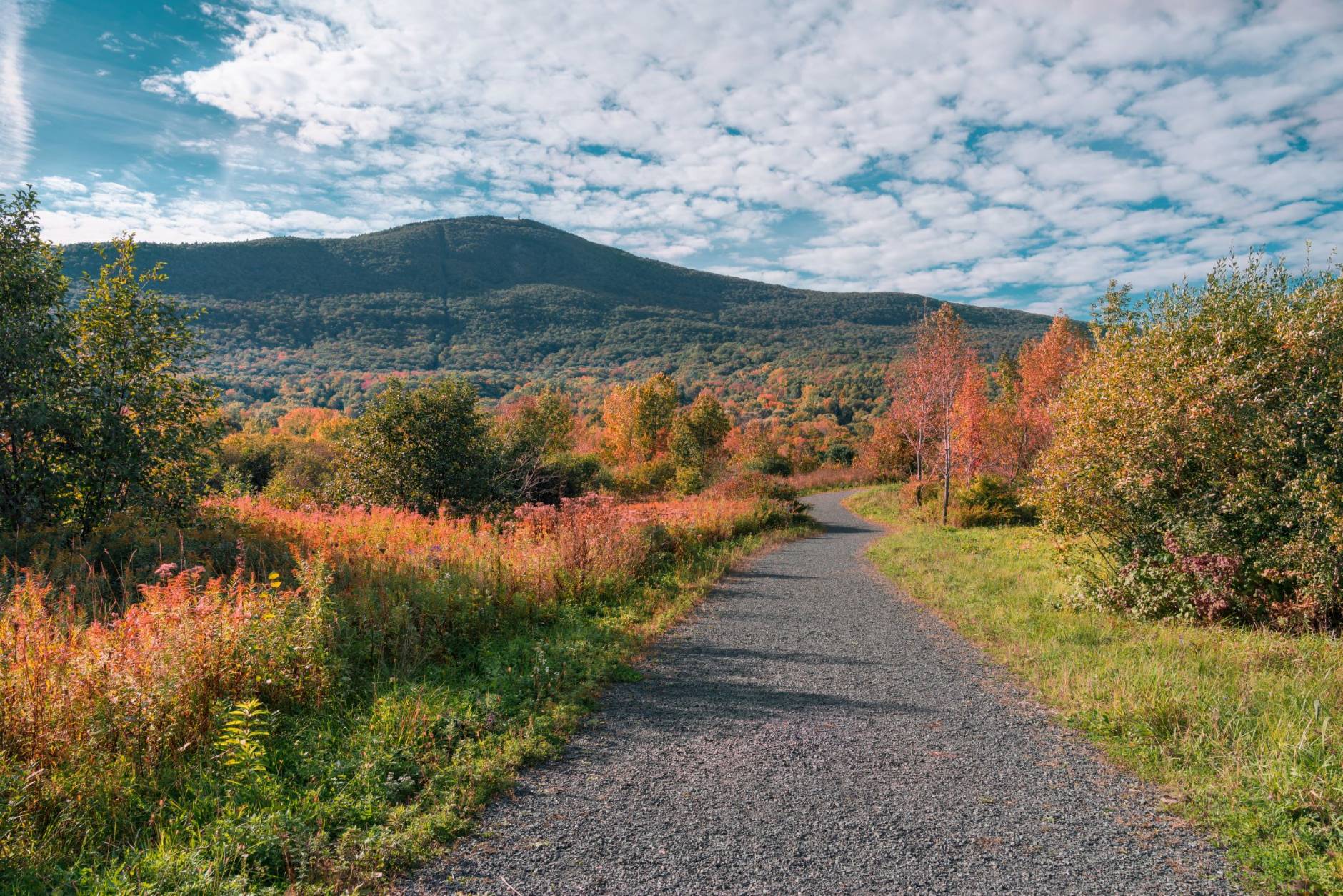 Climbing 'Gold Mine' Hanging Mountain Opens to Public GearJunkie