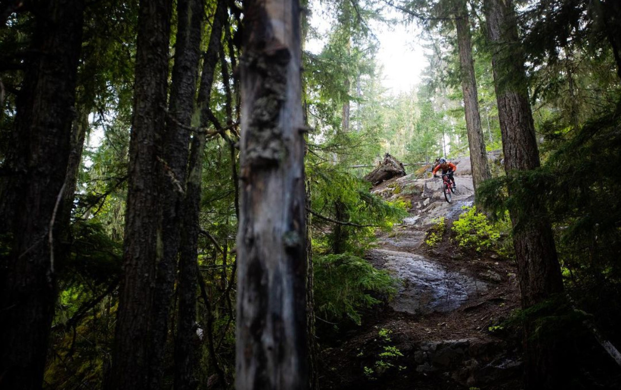 micayla gatto mountain biking down technical trail in forested area