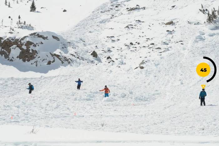 Brush Up on Your Avi Group Rescue Skills With BCA Video