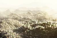 new report shows US largest generator of plastic waste