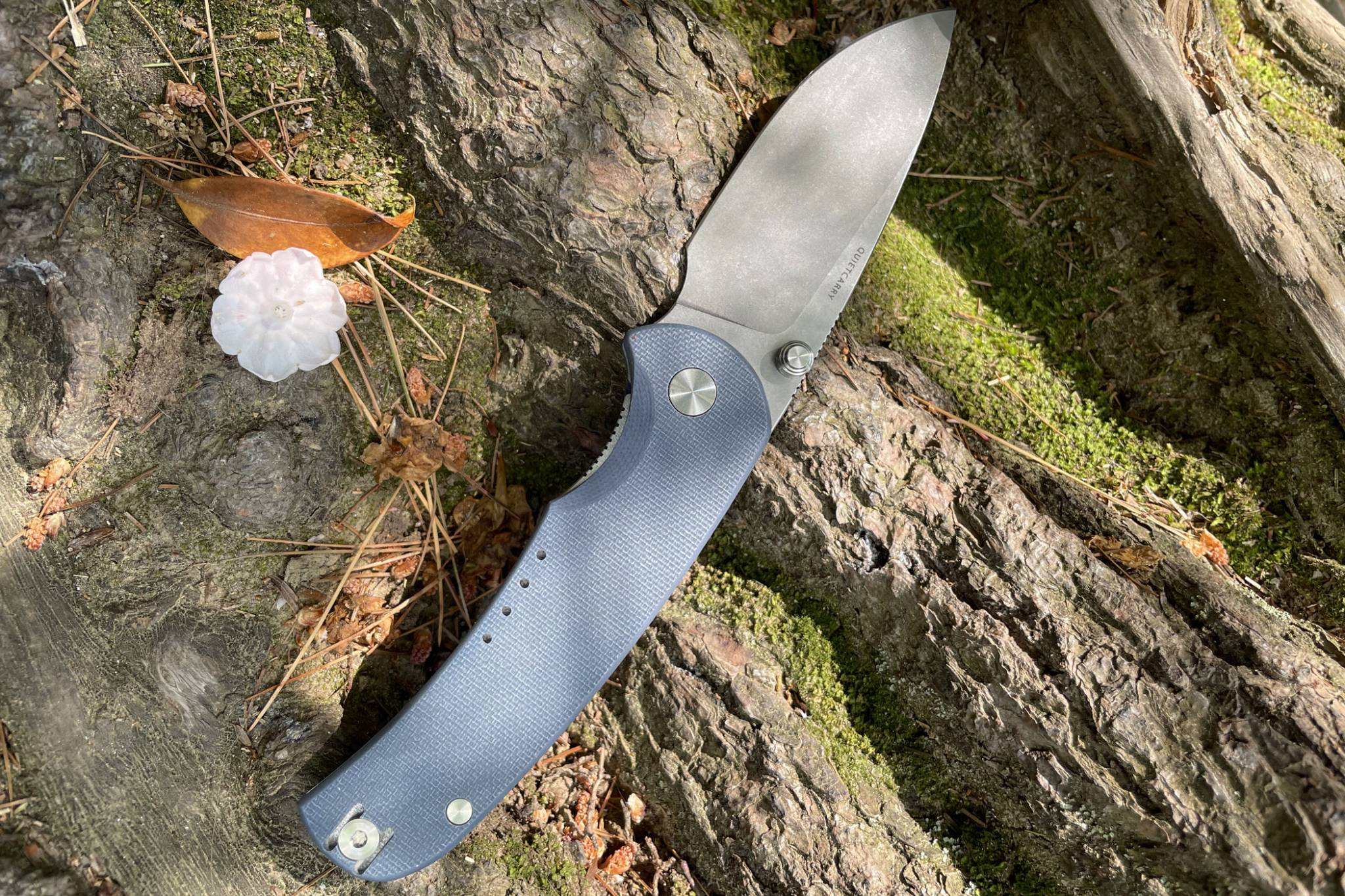 Bleeding Edge These Are the Best Knife Steels Just Hitting the Market GearJunkie