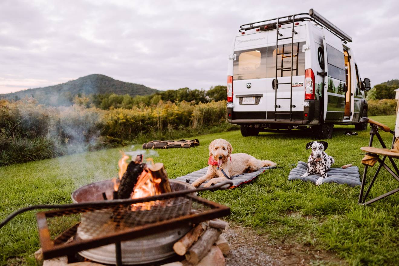 Pups Gone Camping 6 PetFriendly Campervan Rental Companies GearJunkie