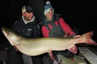 Angler Breaks 64-Year Minnesota Record in Giant Nighttime Muskie Catch Minnesota State Record Muskie 2021