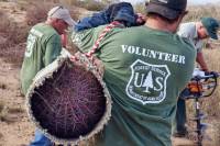 Play Hooky, Get Dirty, Do Good: Volunteer With the National Forest Foundation National Forest Foundation volunteer day