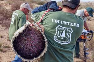 Play Hooky, Get Dirty, Do Good: Volunteer With the National Forest Foundation