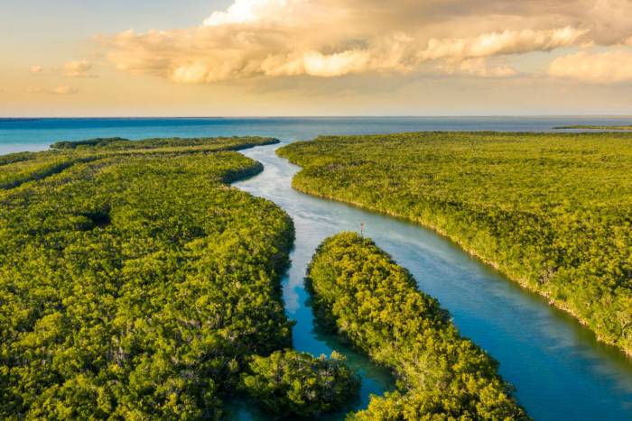 (Photo/Sima Skafar, Shutterstock) Everglades received $1 billion in funding from the Biden Instrastructure Law