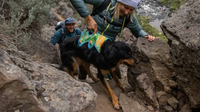 Ruffwear Upcycled Dog Gear Offers Limited Run of Colorful Accessories for Your Pup