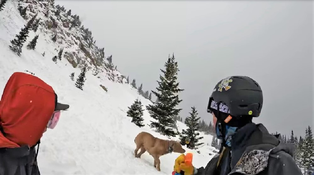 backcountry skiing backcountry avalanche safety