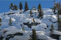 candide thovex yellow pow