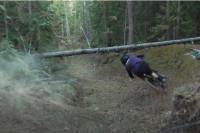 Watch Insane (Really Insane) Cornering Skills by Bas Van Steenbergen bas van steenbergen