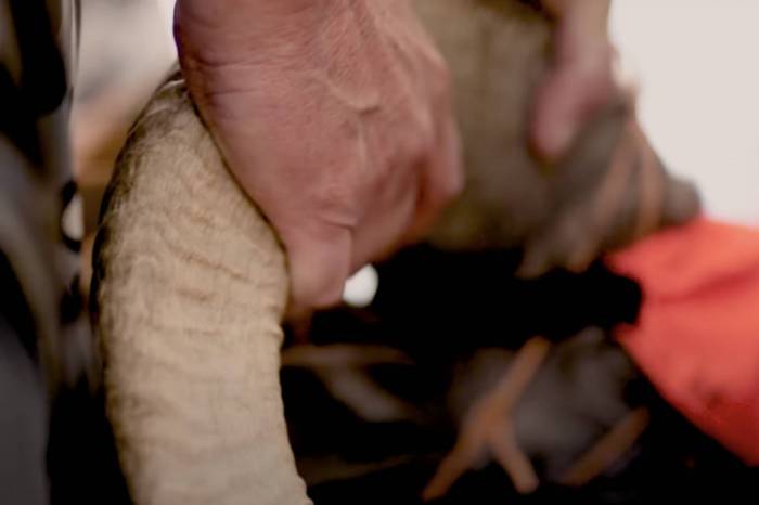 ‘Conservation Direct’: How KUIU Is Challenging Tradition