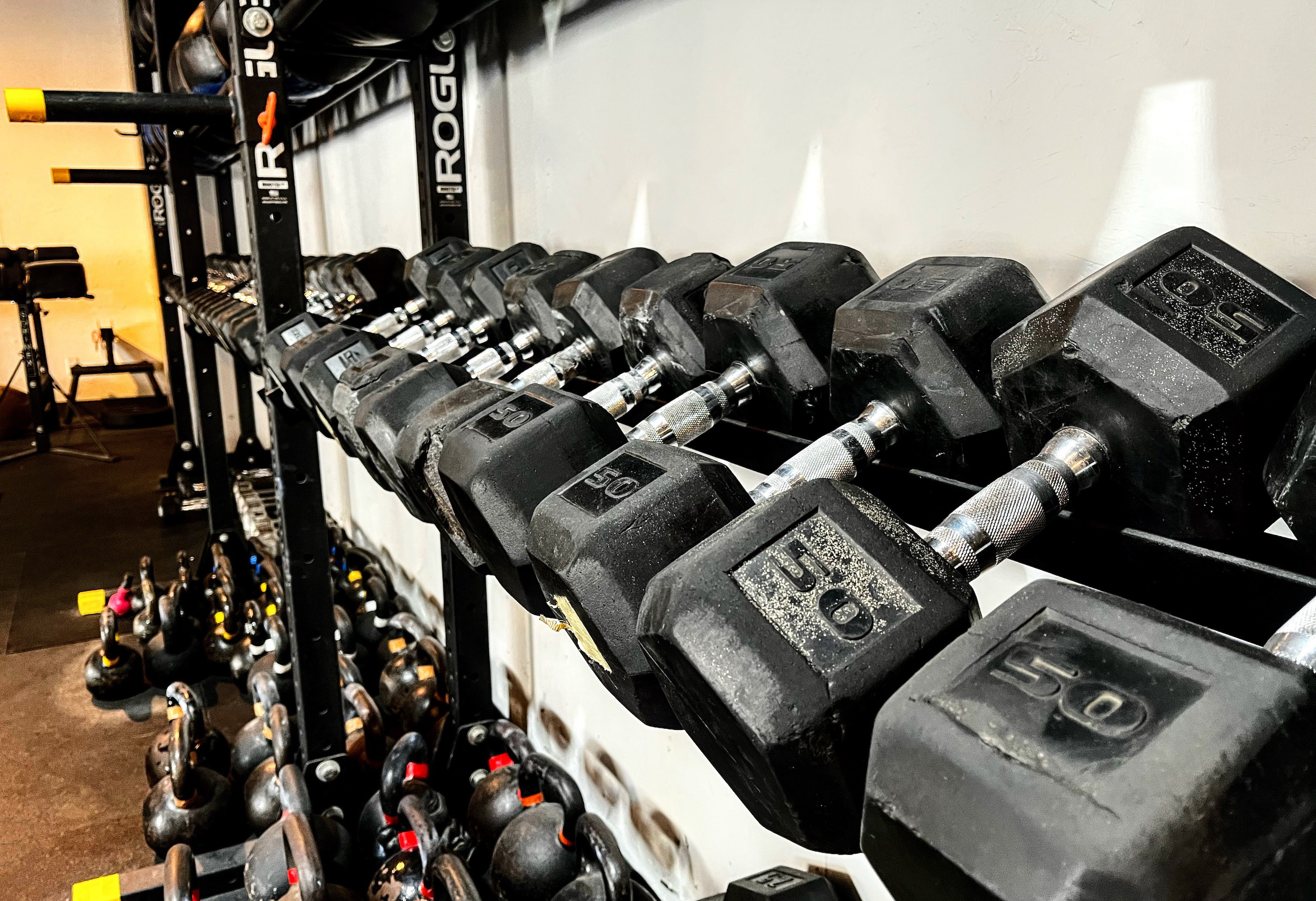 The Best Dumbbells Of 2022 GearJunkie