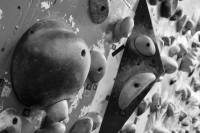 Former Team USA Climbing Coach Arrested on Child Rape Charges indoor climbing