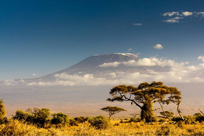 Andventure news of the week 22 kidney donors summit Mount Kilimanjaro March 10, 2022
