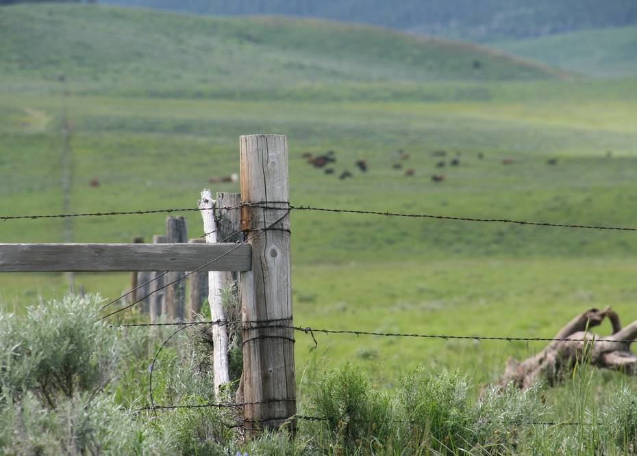Breaking: Hunters Found Not Guilty in WY Corner Crossing Case corner crossing wyoming