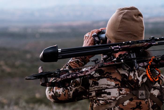 glassing for big game