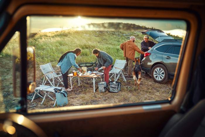 Dometic Brand Image Car Camping