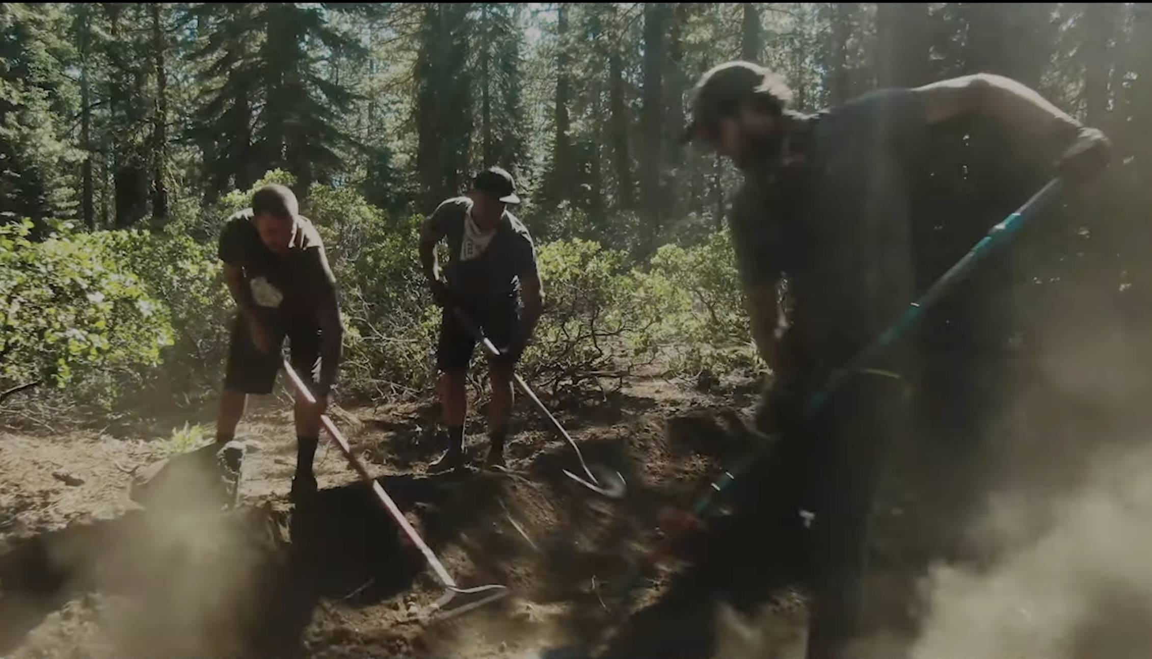 Specialized Soil Searching