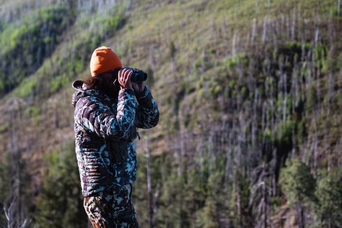Spot and Stalk Spring Bear Hunting 101