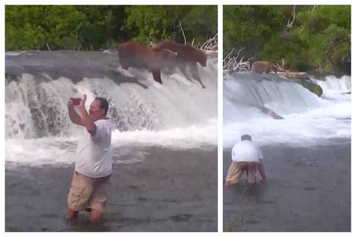 three men were sentenced to prison and fined a total of $9,000 after taking selfies with brown bears at katmai NP