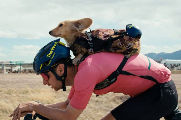 pear izumi weiner dog fkd sir willie