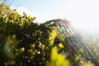 The Best Hunting Arrows of 2022 The Best Arrows for Hunting