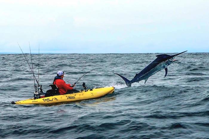 Angler Lands a 600-Pound Marlin and More Adventure News of the Week