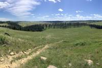 Come for the Cave Tour, Stay for the Trails: 5 Best Hikes in Wind Cave National Park View from the Boland Ridge Trail