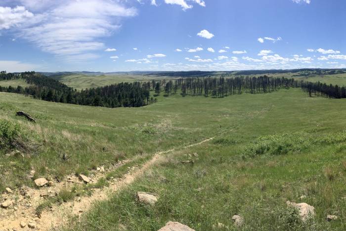View from the Boland Ridge Trail