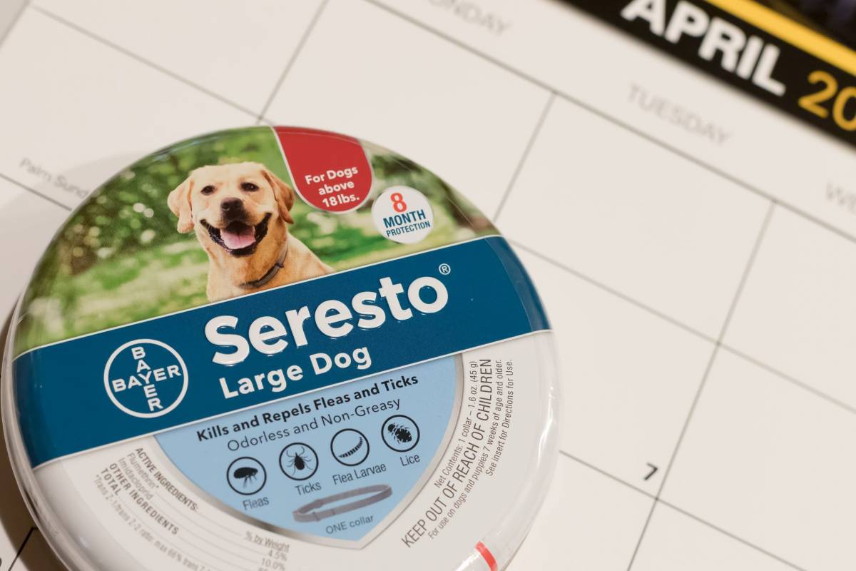Seresto Flea Collar Linked to 2,500 Pet Deaths; Feds Advise Recall