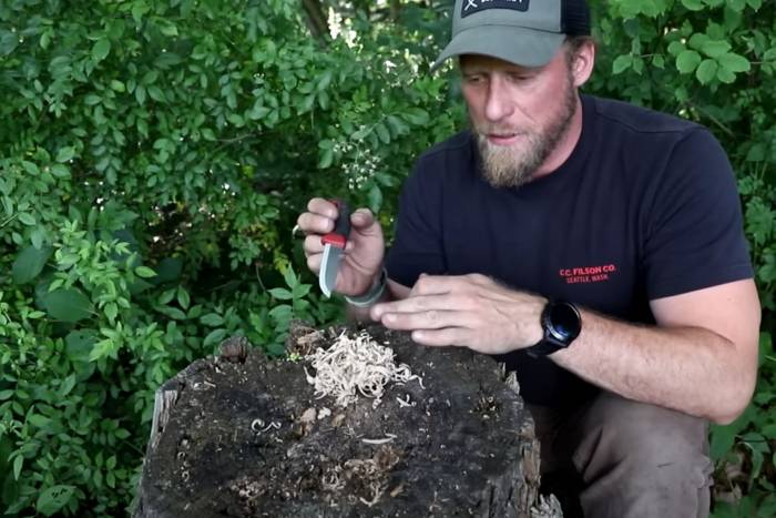 Fire starting survival tip using ferro rod; (screenshot/Coalcracker Bushcraft, YouTube)