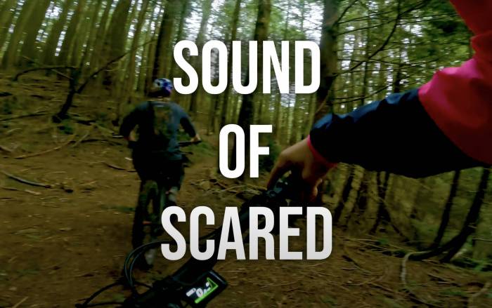 The POV of Fear Itself: A Scaredy Cat Goes Trail Riding