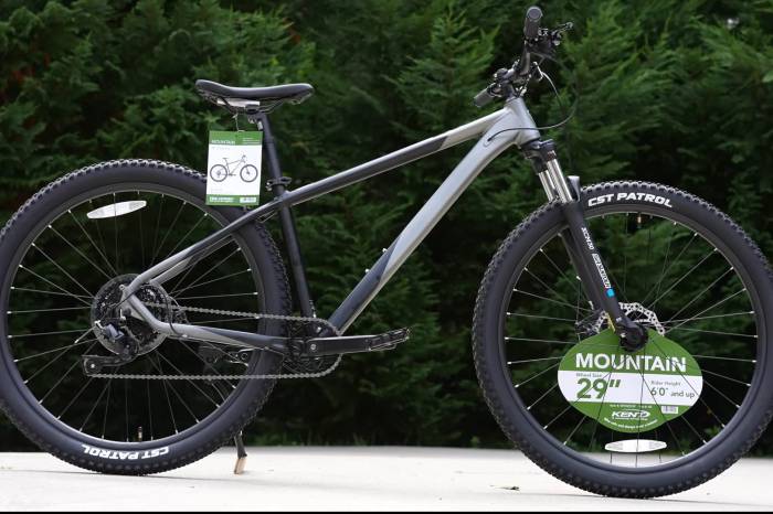 Walmart Kent Trouville MTB